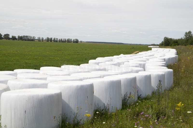 Storage of straw bales in plastic film stock photography
