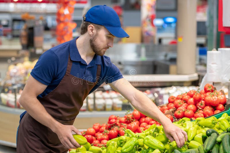 Store Worker Setting Out Vegetables Stock Image Image of agriculture