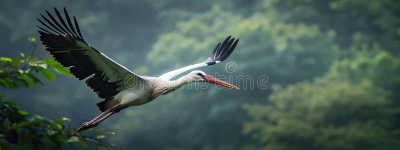 stork flying close-up. Selective focus. AI generated