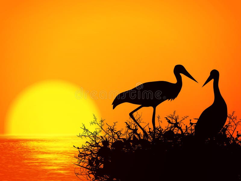 Stork Nest