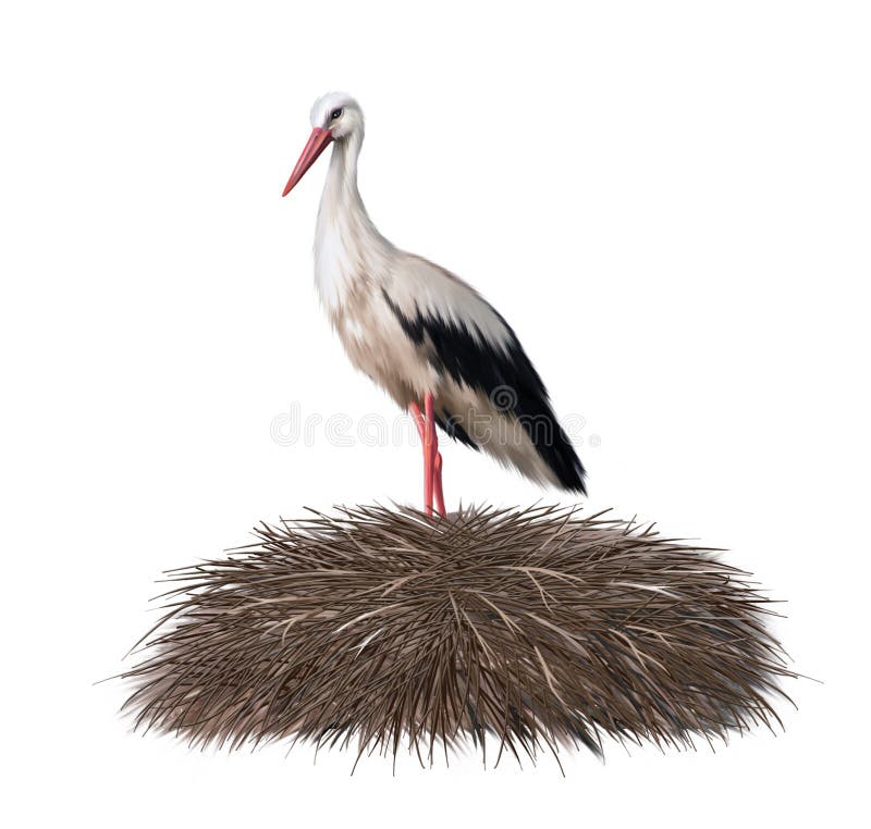 Stork nest. Isolated illustration on white background. Stork nest. Isolated illustration on white background.