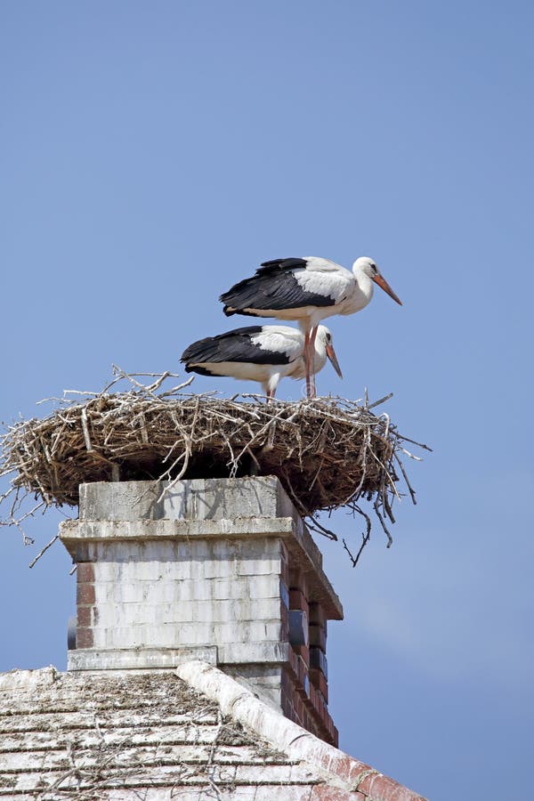 A stork´s nest on a chimney in Rust, Burgenland, Austria. Rust is a very little town at the lake of Neusiedl, Neusiedlersee. A stork´s nest on a chimney in Rust, Burgenland, Austria. Rust is a very little town at the lake of Neusiedl, Neusiedlersee