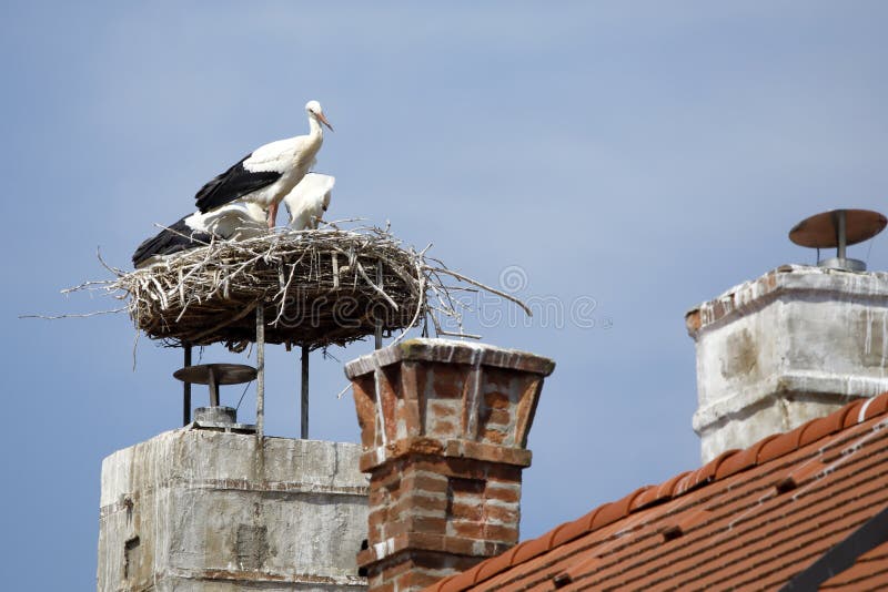 A stork´s nest on a chimney in Rust, Burgenland, Austria. Rust is a very little town at the lake of Neusiedl, Neusiedlersee-. A stork´s nest on a chimney in Rust, Burgenland, Austria. Rust is a very little town at the lake of Neusiedl, Neusiedlersee-