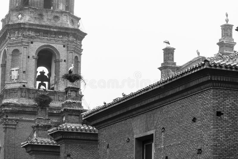 Cigüenas sobre el de universidad iglesia de es un católico iglesia se encuentra en.