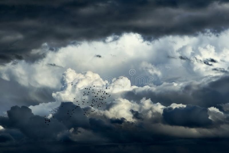 Storm Clouds