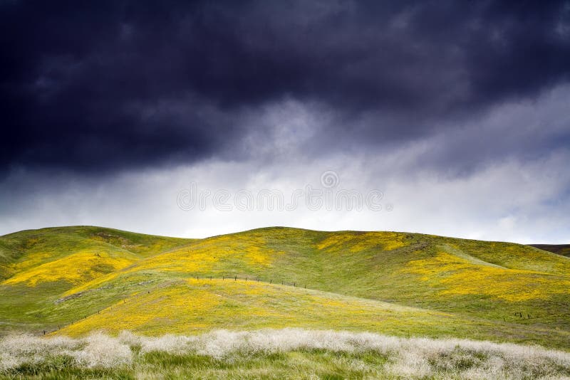 Storm clouds