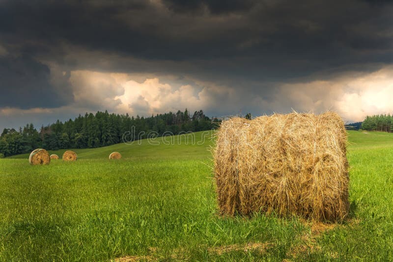 Storm clouds in a summer day in the field. Hay harvest on the farm. Hay bales and dramatic sky. Agricultural landscape in the