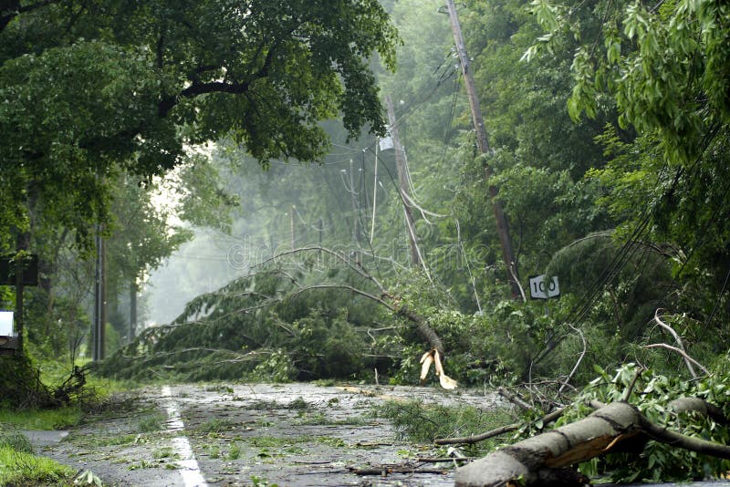 I danni da tempesta con alberi abbattuti e linee di utilità dopo il tornado.