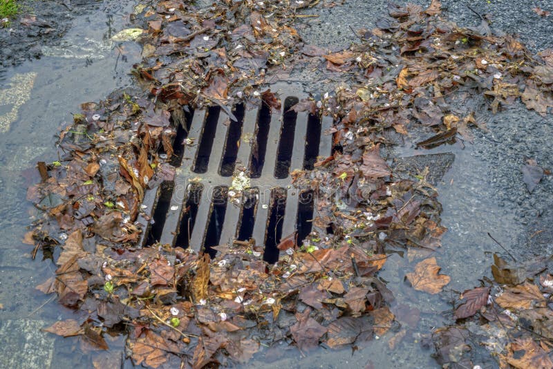 Storm drain during rain storm