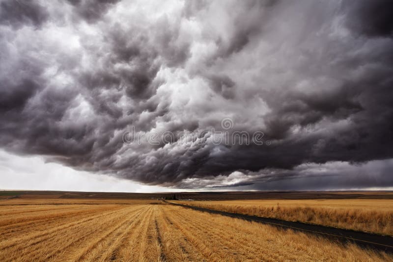 Storm front.