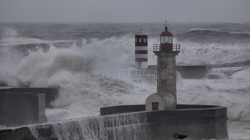 Storm At Sea Stock Photo Image Of Portugal Porto Power 175183864