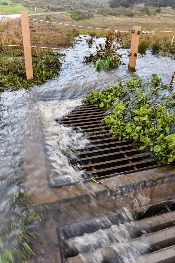 Storm water flows into drain near road