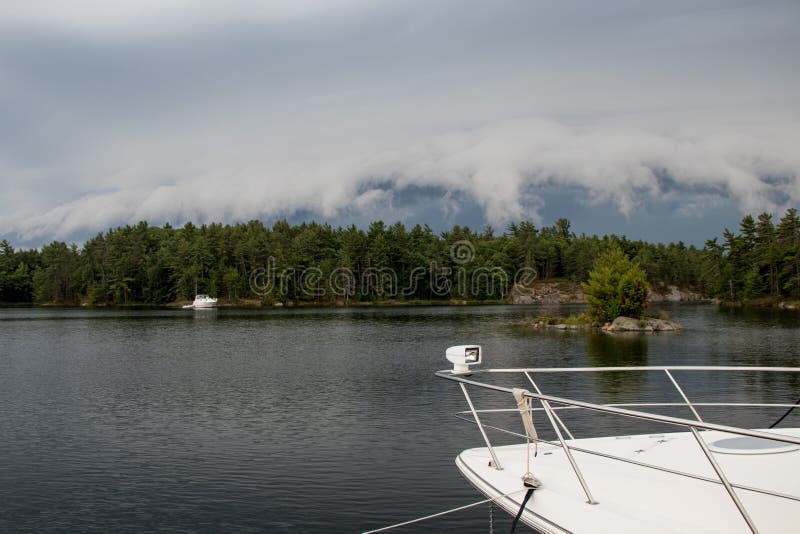 Stormmoln som rullar in över träden arkivbilder Stormmoln som rullar in över träden arkivbilder