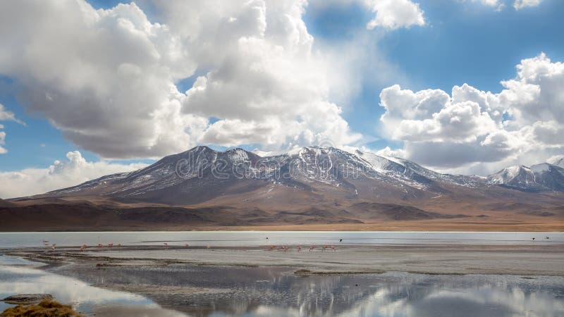 Big clouds, reflections and stormy weather in the altiplano region high in the Andes mountains of Bolivia royalty free stock photos Big clouds, reflections and stormy weather in the altiplano region high in the Andes mountains of Bolivia royalty free stock photos