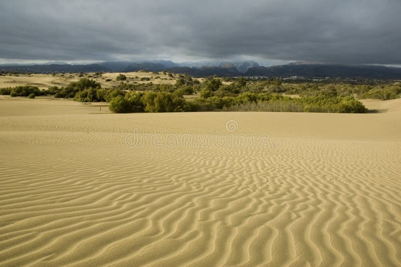 Stormy desert2