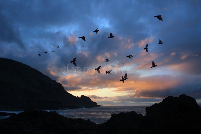 Stormy shore, Atlantic, Canary