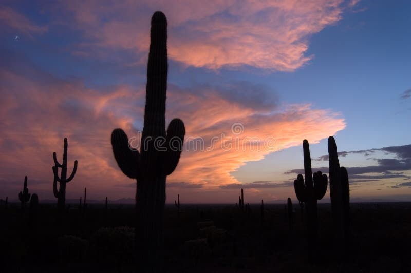 Stormy Sunset royalty free stock photos