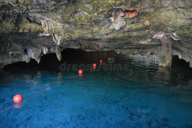 Storslagen cenote i Yucatan, Mexico arkivbild Storslagen cenote i Yucatan, Mexico arkivbild