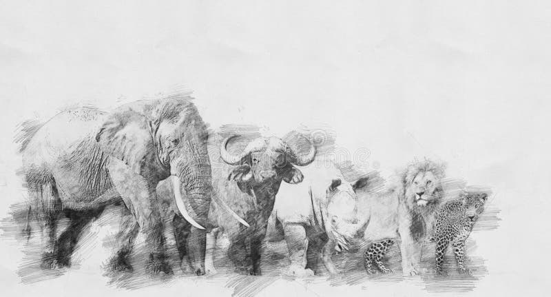 Stort djur för afrikan fem Skissa med blyertspennan stock illustrationer Stort djur för afrikan fem Skissa med blyertspennan stock illustrationer