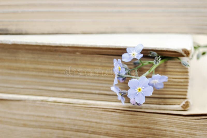 Stack of old books and forget-me-not flowers. retro style. Stack of old books and forget-me-not flowers. retro style