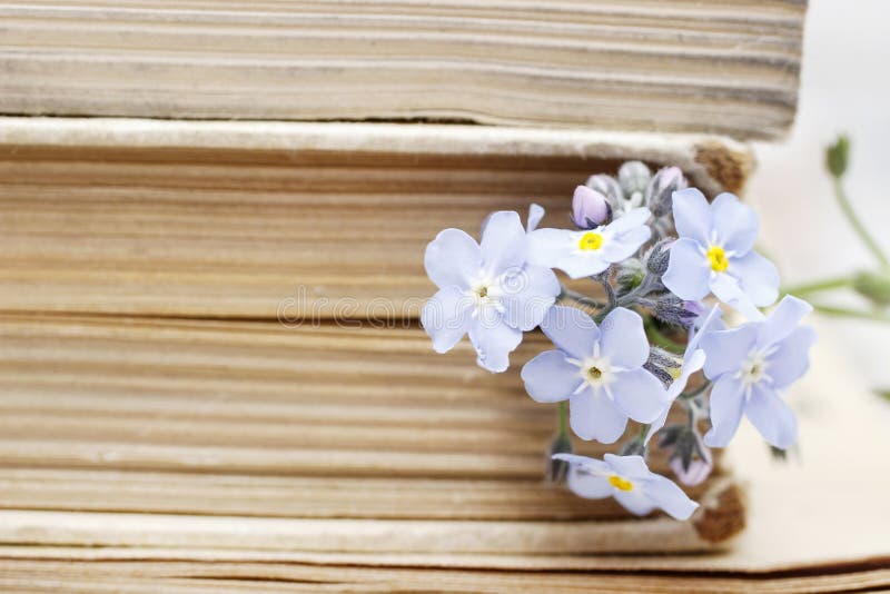 Stack of old books and forget-me-not flowers. retro style. Stack of old books and forget-me-not flowers. retro style