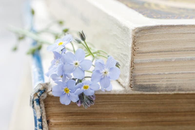 Stack of old books and forget-me-not flowers. retro style. Stack of old books and forget-me-not flowers. retro style