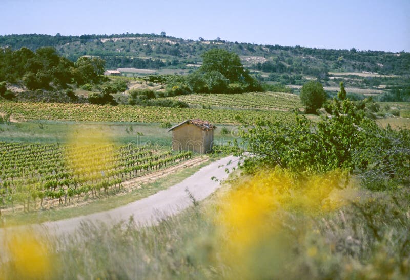 Strada campestre in Provenza fotografie stock libere da diritti Strada campestre in Provenza fotografie stock libere da diritti