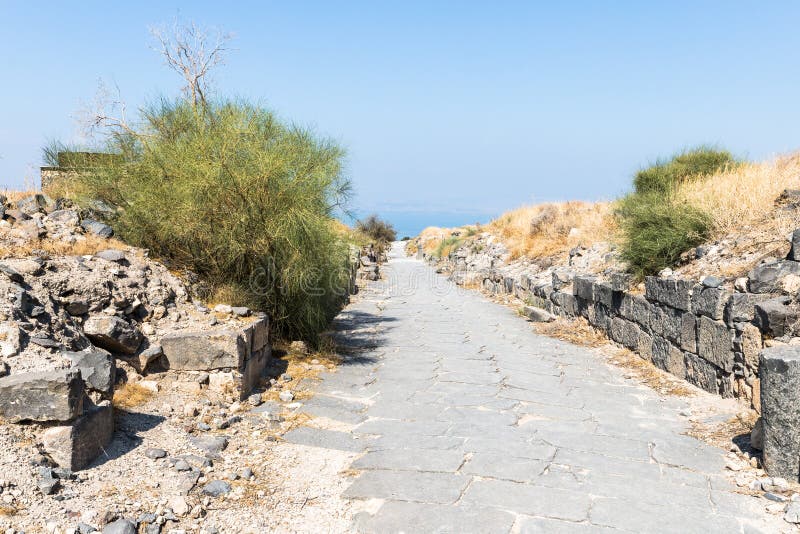 Strada Cobbled nelle rovine del Greco - città romana dello III secolo BC - l'ANNUNCIO del VIII secolo Hippus - Susita su Golan He fotografia stock libera da diritti Strada Cobbled nelle rovine del Greco - città romana dello III secolo BC - l'ANNUNCIO del VIII secolo Hippus - Susita su Golan He fotografia stock libera da diritti