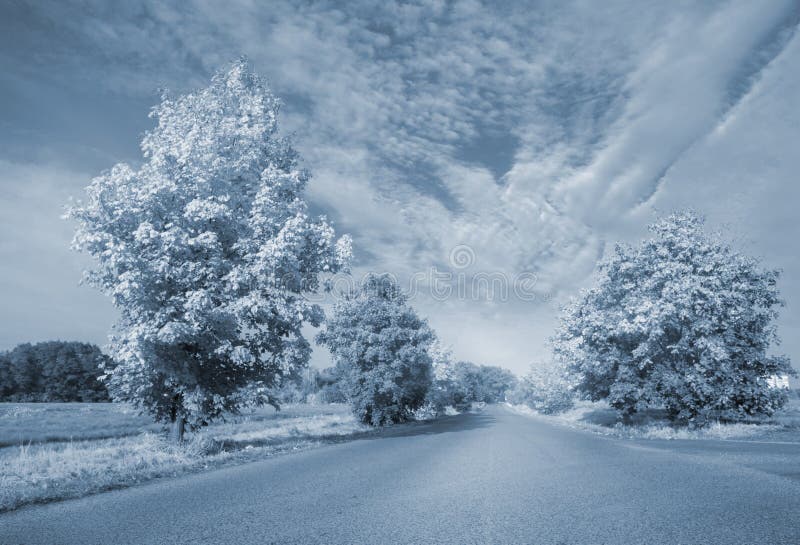 Strada deformata fotografie stock libere da diritti Strada deformata fotografie stock libere da diritti