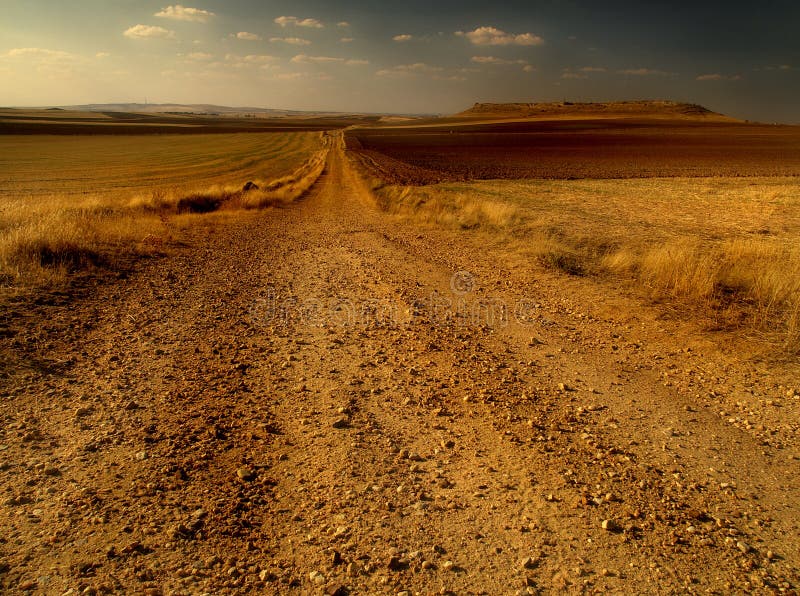 Strada del deserto fotografia stock Strada del deserto fotografia stock