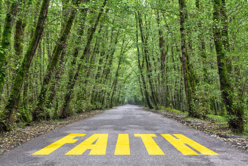 Strada della giungla a fede