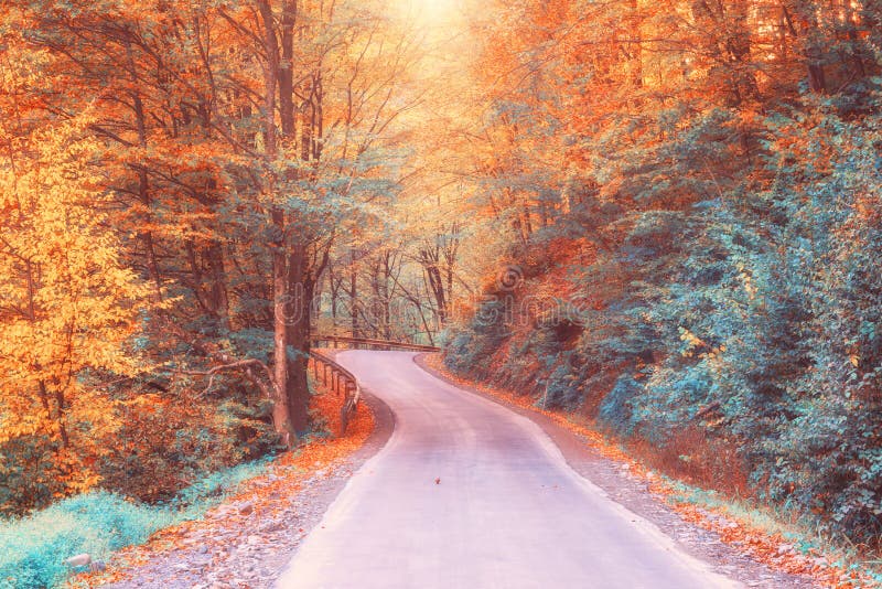Strada di bobina nella foresta gialla di autunno, arte della natura fotografie stock libere da diritti Strada di bobina nella foresta gialla di autunno, arte della natura fotografie stock libere da diritti