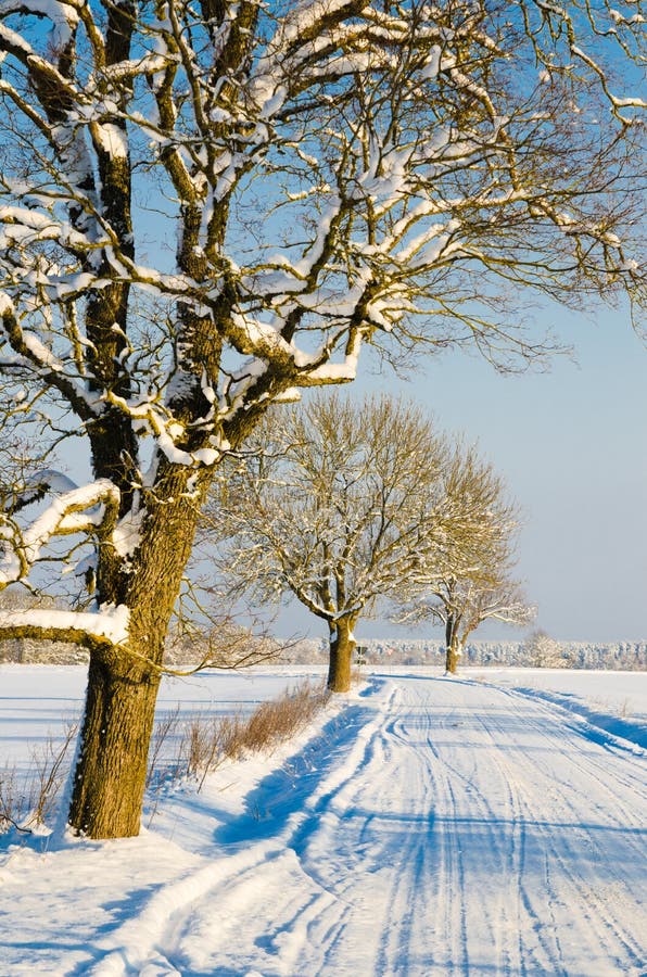 Strada di inverno nella campagna, un giorno di inverno fotografie stock libere da diritti Strada di inverno nella campagna, un giorno di inverno fotografie stock libere da diritti
