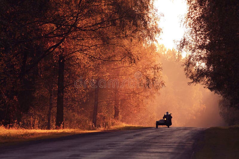 strada nebbiosa di autunno fra gli alberi fotografia stock libera da diritti strada nebbiosa di autunno fra gli alberi fotografia stock libera da diritti