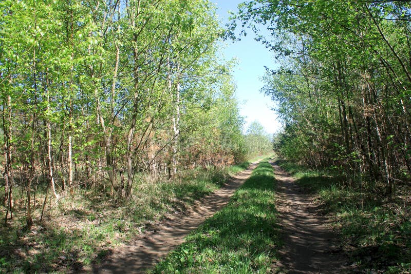 Strada non asfaltata della campagna e recinto di legno fotografie stock libere da diritti