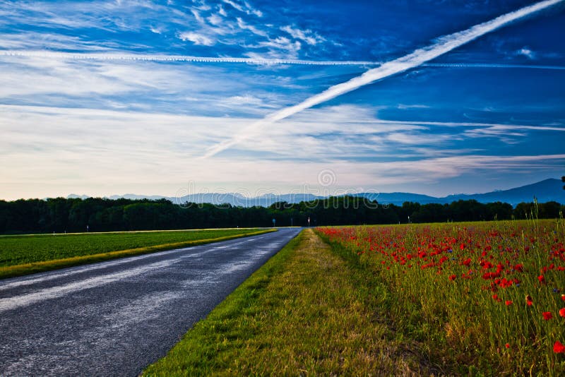 Strada rurale svizzera immagine stock Strada rurale svizzera immagine stock