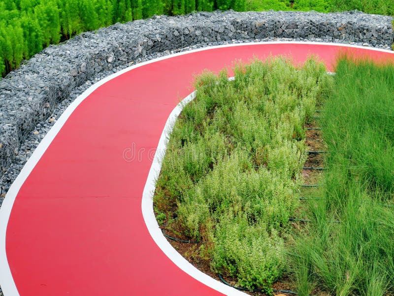 Strada a senso unico rossa vuota per il ciclismo attraverso le piante ed i cespugli nel parco fotografia stock libera da diritti Strada a senso unico rossa vuota per il ciclismo attraverso le piante ed i cespugli nel parco fotografia stock libera da diritti
