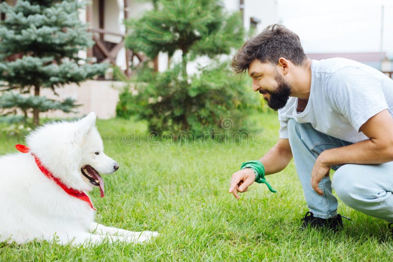Strahlender netter Mann, der seinen reizenden netten Hund betrachtet stockfoto Strahlender netter Mann, der seinen reizenden netten Hund betrachtet stockfoto