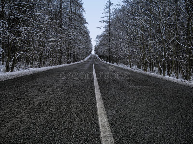 Straight dark asphalt road after snowfal among snow covered trees