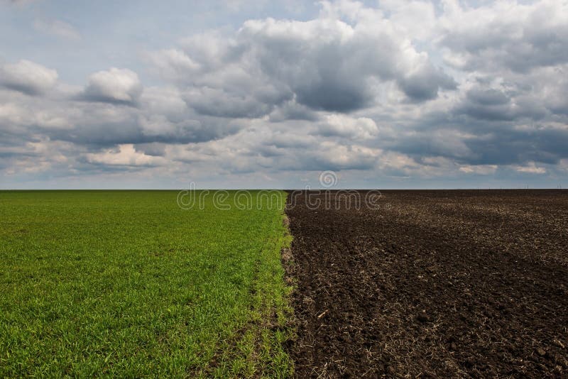 A Straight Line Divides the Field in Half, One Half Black, the Other