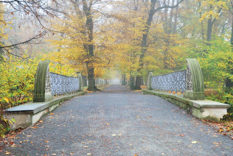 Straight and long forest park footpath with bridge