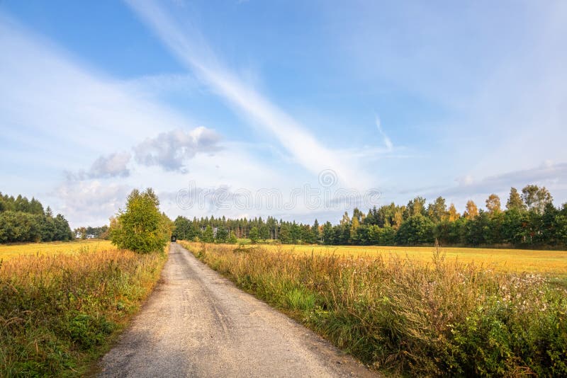 Straight Path between Meadows and Forest Under Blue Sky Stock Photo