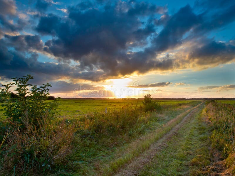 Straight Walking Trail royalty free stock images