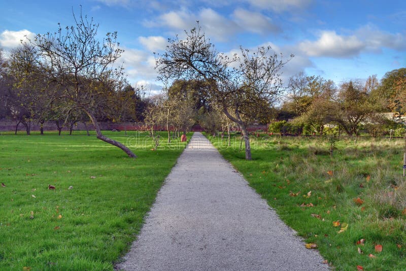 Straight winter garden path