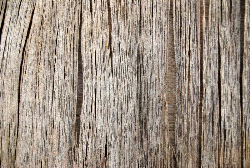 Straight wood marks stock photo. Image of bark, timber 13109062