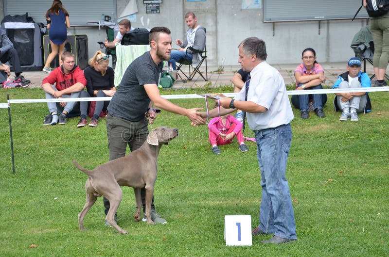 Stranavy, Slovacchia - 10 settembre 2017: Il giudice si congratula il vincitore di una categoria nell'esposizione canina locale, immagini stock libere da diritti Stranavy, Slovacchia - 10 settembre 2017: Il giudice si congratula il vincitore di una categoria nell'esposizione canina locale, immagini stock libere da diritti