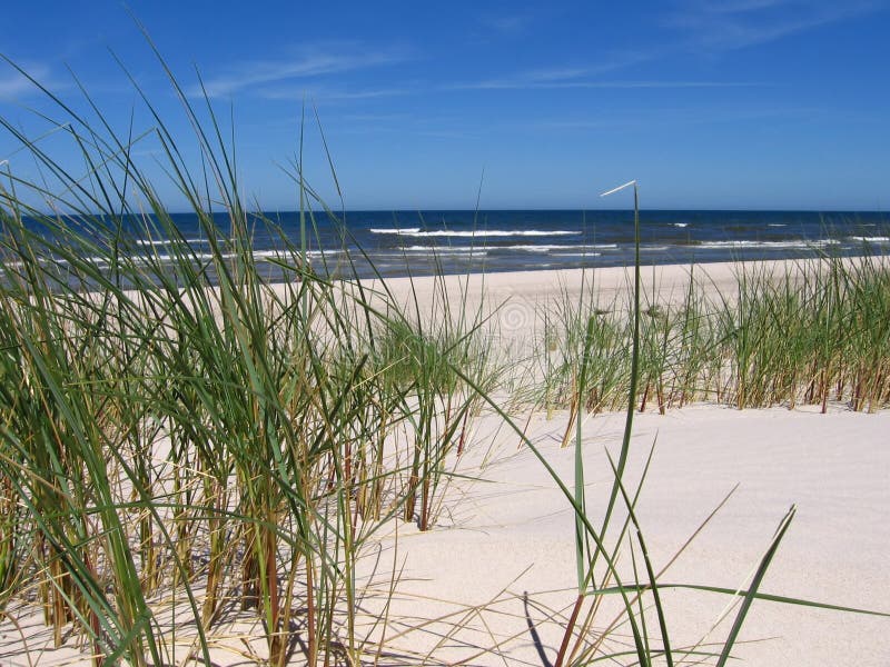 Strand royaltyfri fotografi