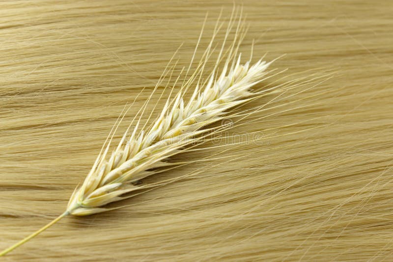 1. "Sandy blond hair boy" - stock photo - wide 7