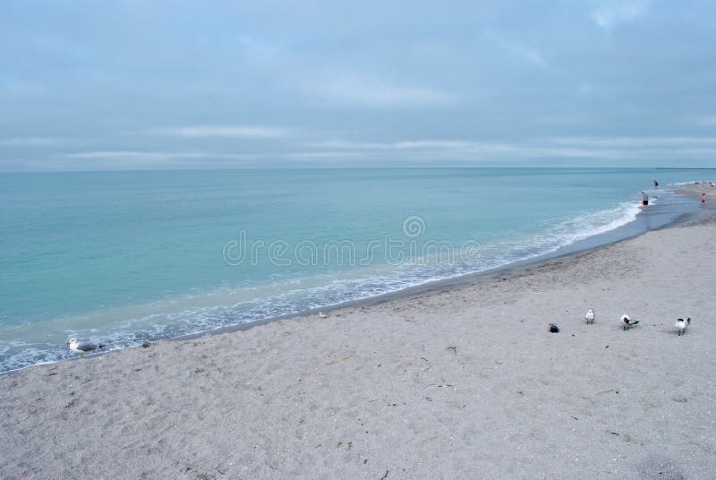 strand florida venice fotografering för bildbyråer strand florida venice fotografering för bildbyråer