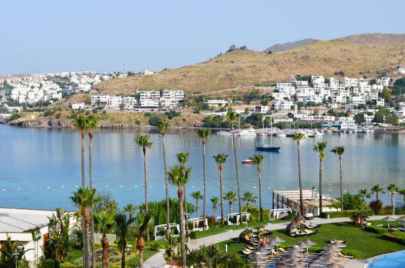 Strand med palmträd i Bodrum royaltyfri foto Strand med palmträd i Bodrum royaltyfri foto